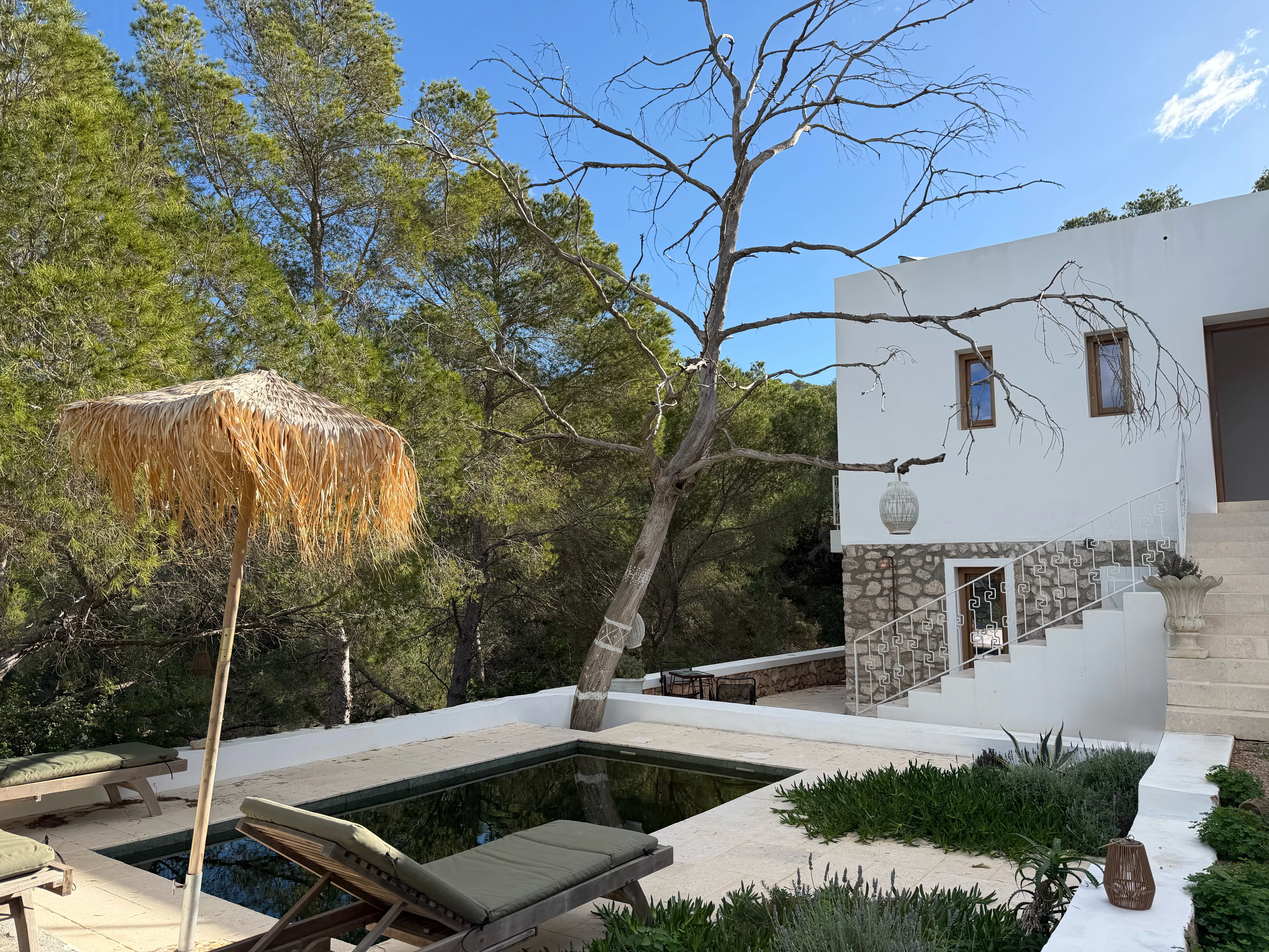 Ca Na Sagrada photo 5