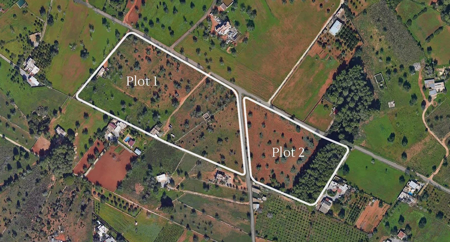 Ses Twins Fincas photo 6